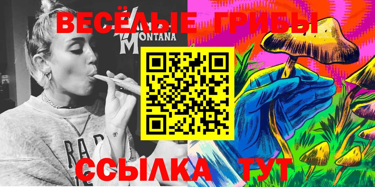 Заводоуковск  Псилоцибиновые грибы ЛСД  Псилоцибиновые грибы Magic Shrooms  Вход с VPN 